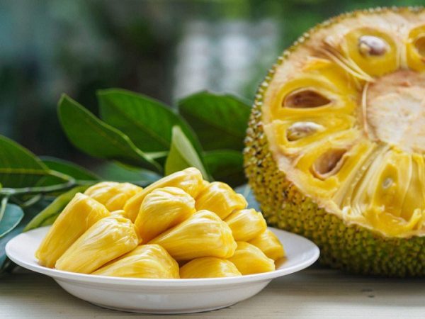 1 quả mít bao nhiêu calo, ăn mít có giảm cân không, cách ăn mít đúng cách