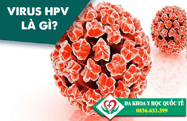 Virus HPV là gì?