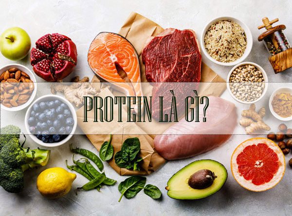 Protein là gì? Nạp bao nhiêu protein là đủ?