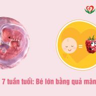 thai-7-tuan-tuoi-phat-trien-nhu-the-nao