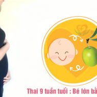 thai-9-tuan-phat-trien-nhu-the-nao