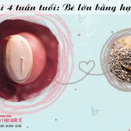 thai-4-tuan-tuoi-trong-nhu-the-nao