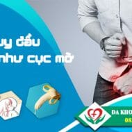 bao-quy-dau-bi-sung-nhu-cuc-mo