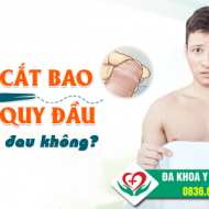 cat-bao-quy-dau-xong-co-dau-khong