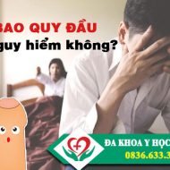 dai-bao-quy-dau-co-nguy-hiem-khong