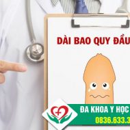 dai-bao-quy-dau-gia-la-gi