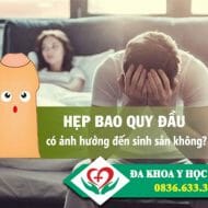hep-bao-quy-dau-co-anh-huong-den-sinh-san-khong