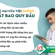 khong-cat-bao-quy-dau-co-tac-hai-gi
