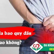 ngua-o-da-bao-quy-dau-co-sao-khong