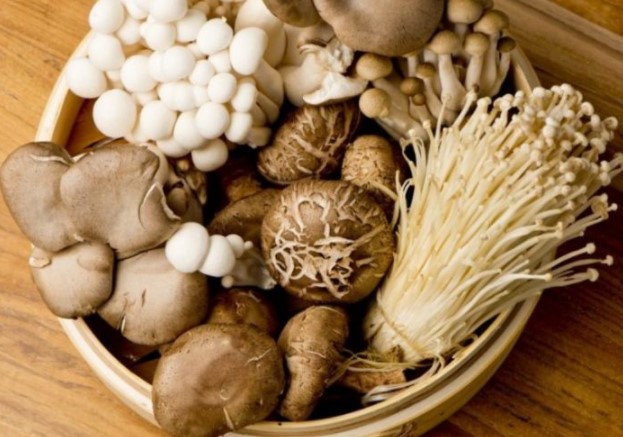 Nấm bao nhiêu protein? Tác dụng của nấm đối với sức khỏe?